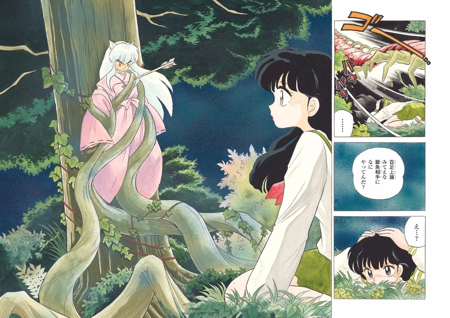 Rumiko Takahashi - Inuyasha 30th Anniversary Artbook (2)